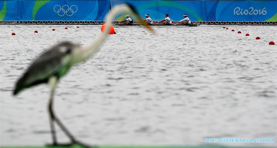 （里约奥运会）（2）赛艇——首个产生金牌日的比赛因天气原因被取消