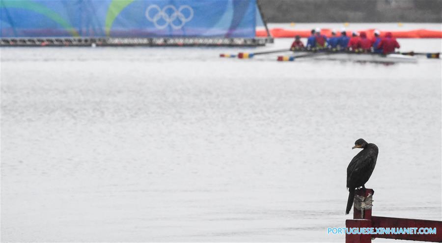 （里约奥运会）（6）赛艇——首个产生金牌日的比赛因天气原因被取消