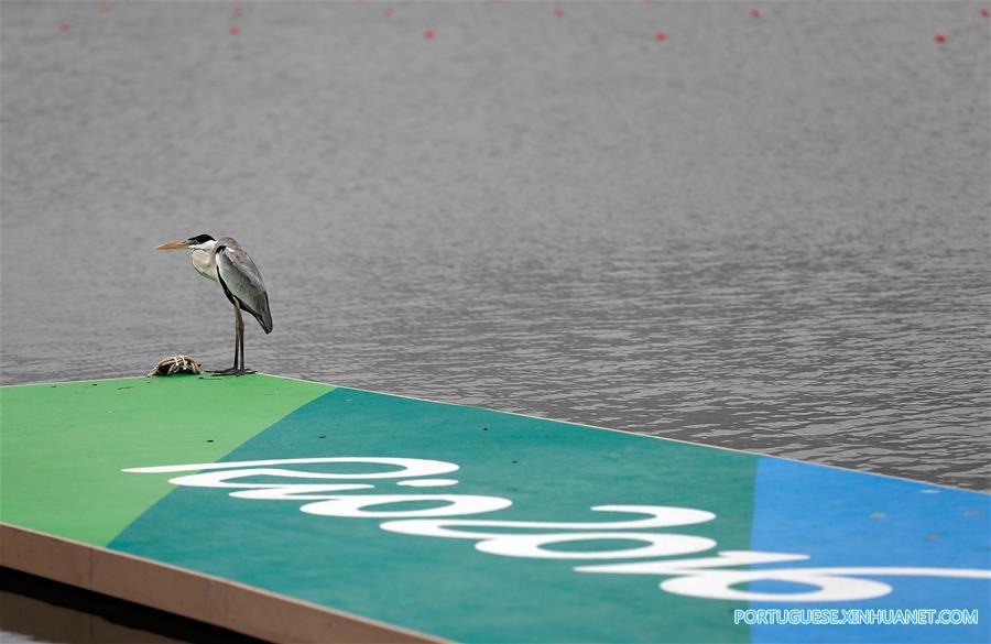 （里约奥运会）（3）赛艇——首个产生金牌日的比赛因天气原因被取消