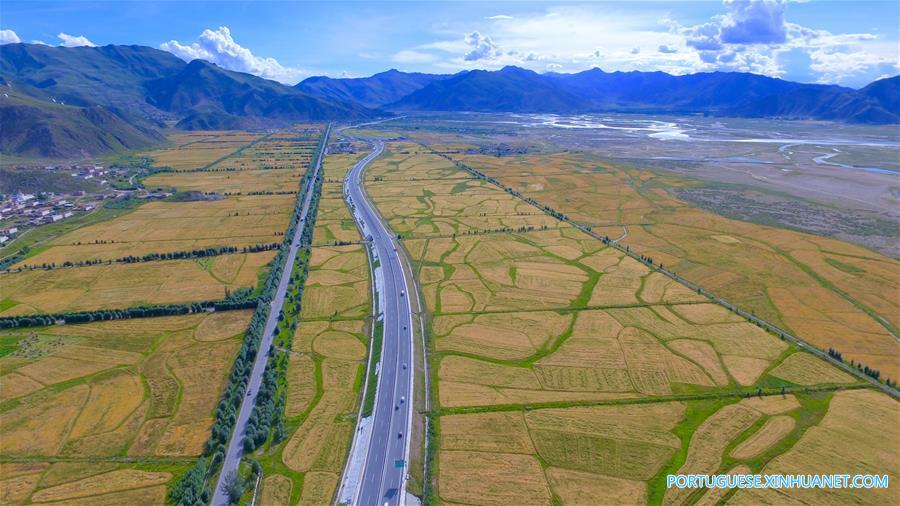 （美丽中国）（3）拉萨河谷：大地流金壮美如画