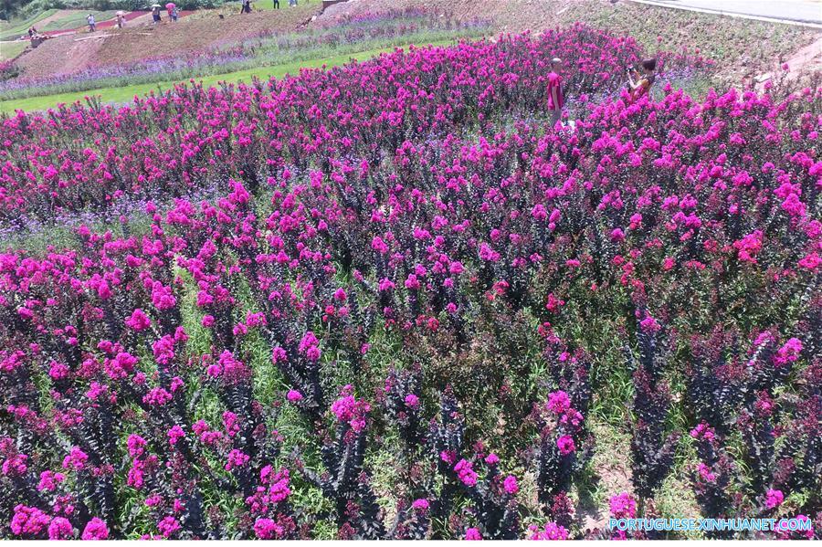 CHINA-CHONGQING-HEAT-FLOWERS (CN)