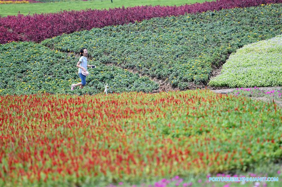 CHINA-CHONGQING-HEAT-FLOWERS (CN)