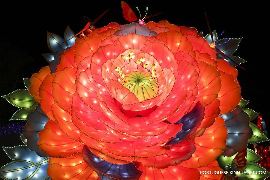 Chine : foire de lanternes près du lac Fuxian dans le Yunnan