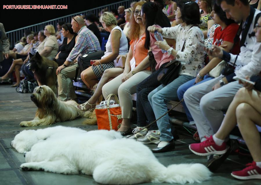 Belgique : salon européen de chiens 2016