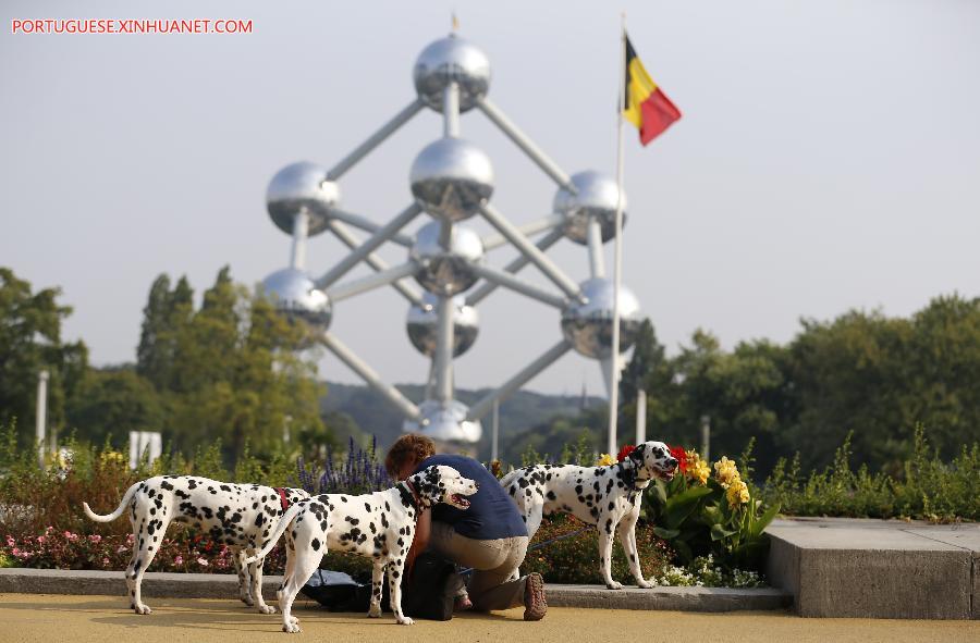 Belgique : salon européen de chiens 2016