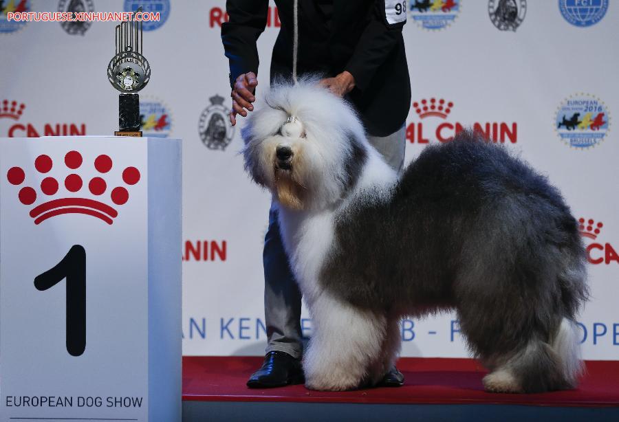 Belgique : salon européen de chiens 2016