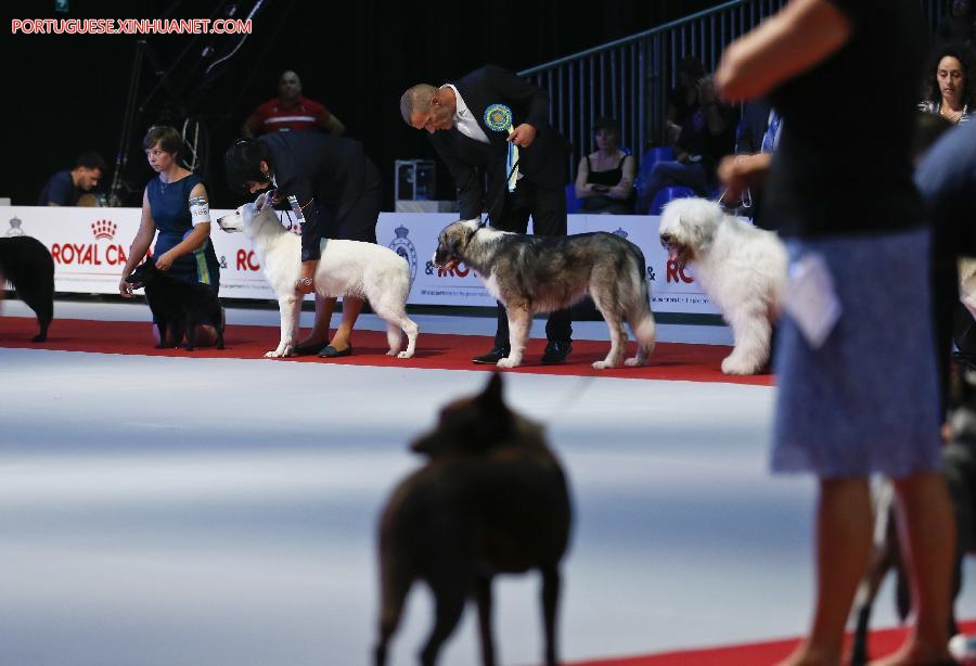 Belgique : salon européen de chiens 2016