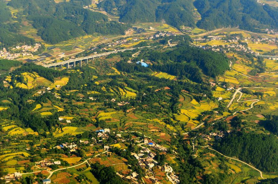 #CHINA-GUIZHOU-TERRACED FIELDS (CN)