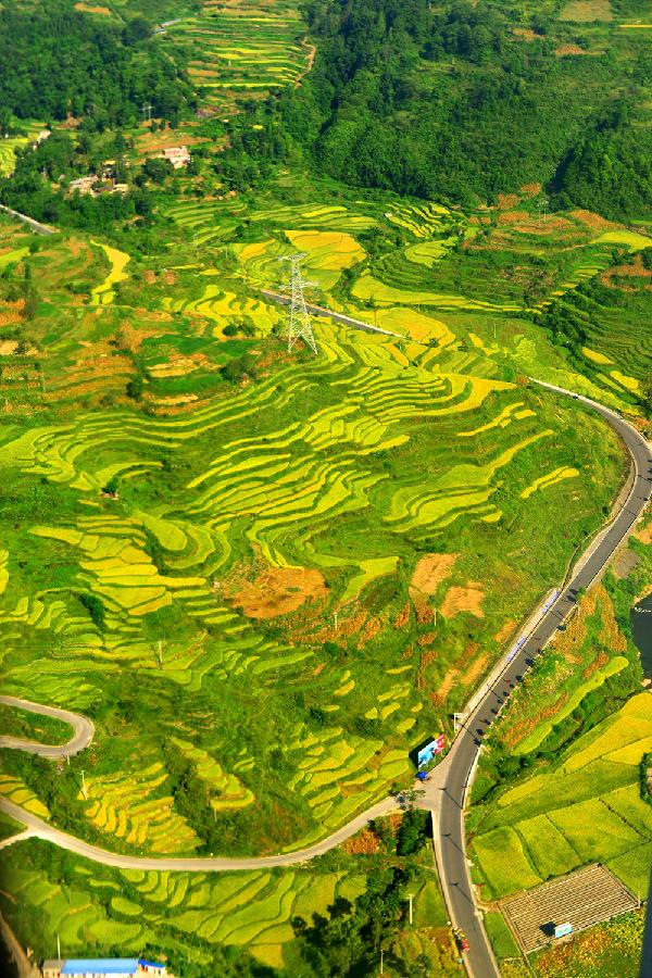 #CHINA-GUIZHOU-TERRACED FIELDS (CN)