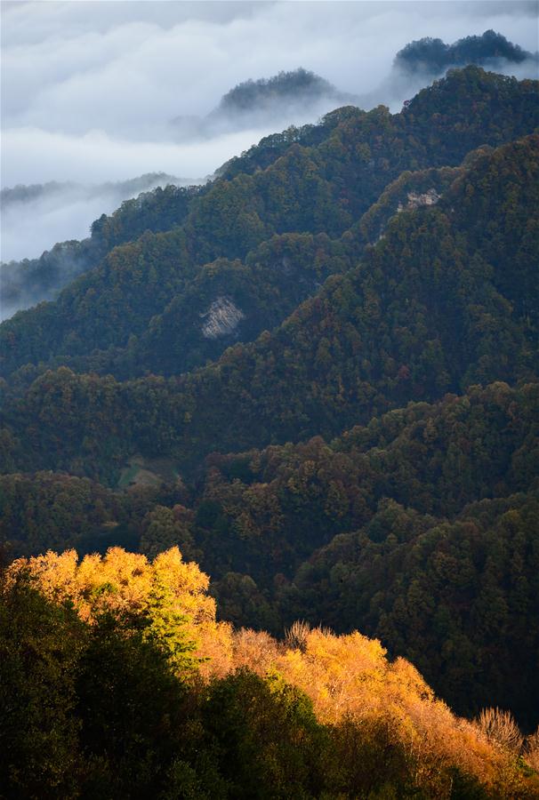 (3)CHINA-SHAANXI-MEDIO AMBIENTE-PAISAJE