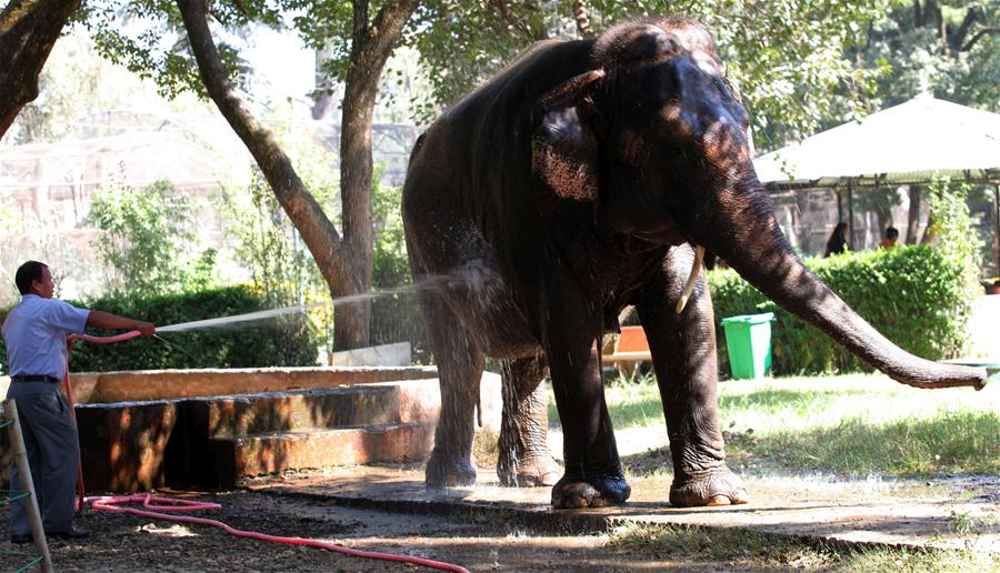 NEPAL-LALITPUR-CENTRAL ZOO