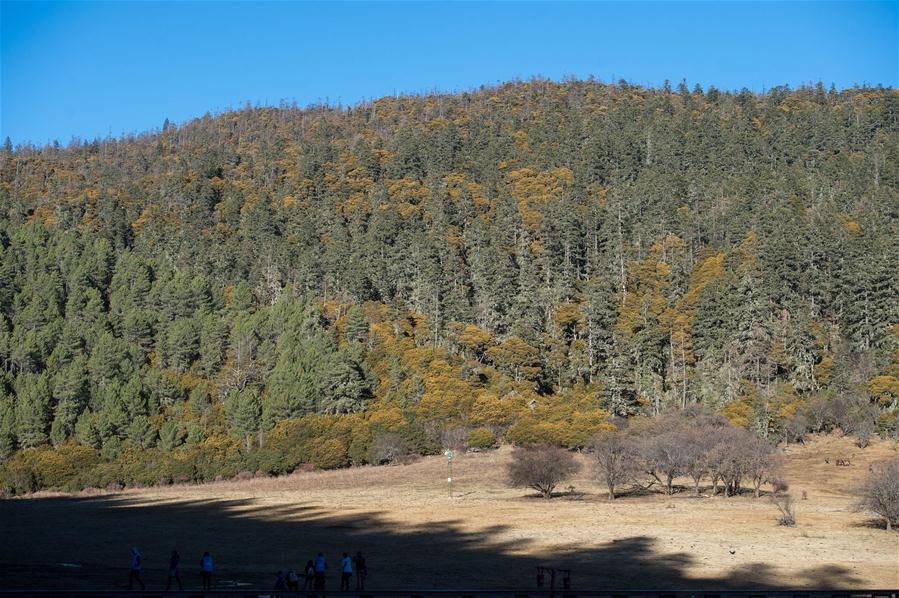 CHINA-SHANGRI-LA-POTATSO NATIONAL PARK-SCENERY (CN)