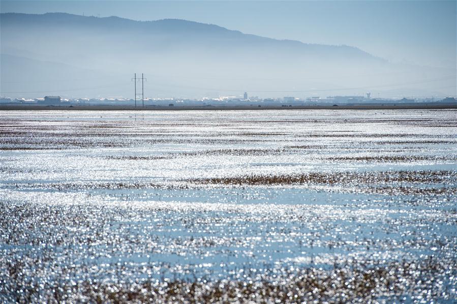 CHINA-SHANGRI-LA-NAPA LAKE-SCENERY (CN)