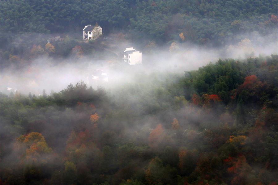 CHINA-ANHUI-HUANGSHAN-SCENERY (CN)