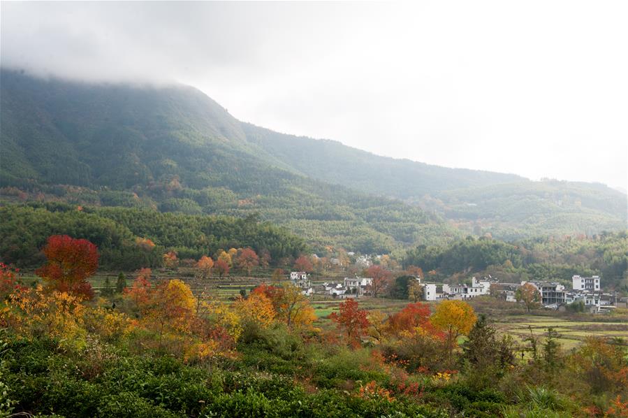 CHINA-ANHUI-HUANGSHAN-SCENERY (CN)