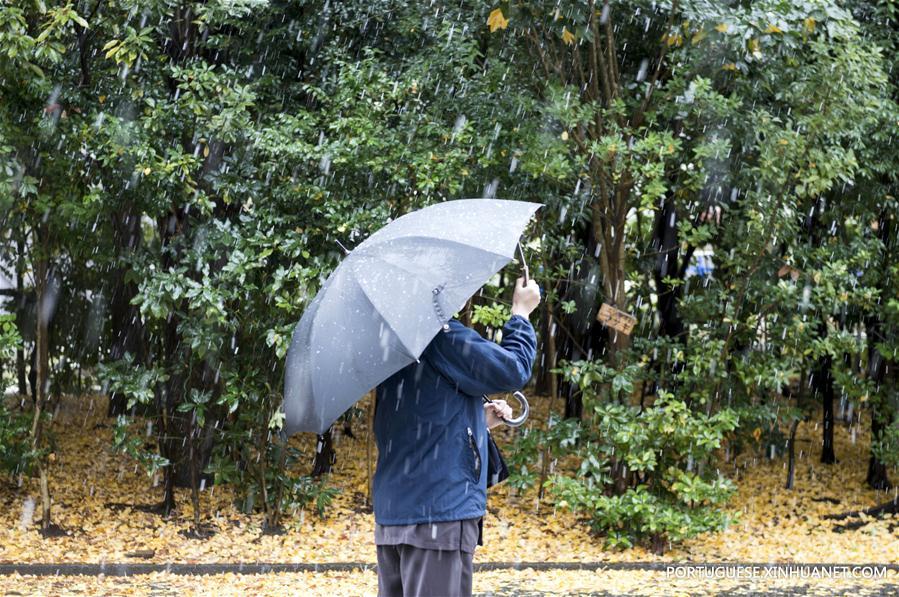 (3)TOKIO-JAPON-MEDIO AMBIENTE-CLIMA