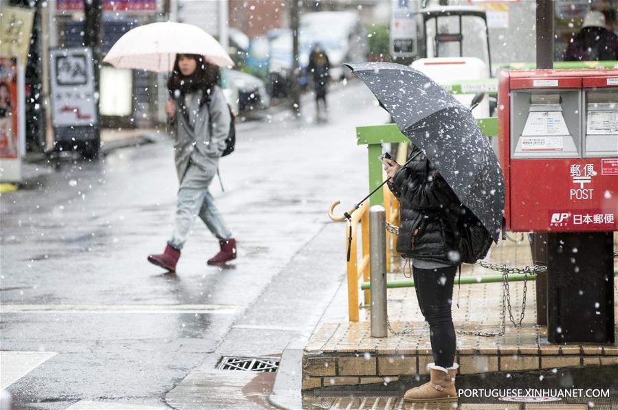 (4)TOKIO-JAPON-MEDIO AMBIENTE-CLIMA