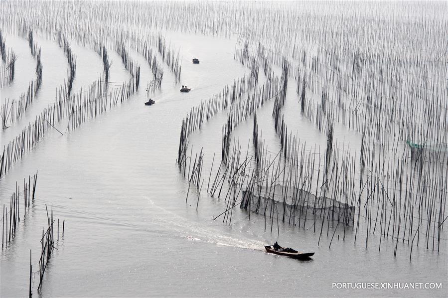 (2)CHINA-FUJIAN-MEDIO AMBIENTE-PAISAJE