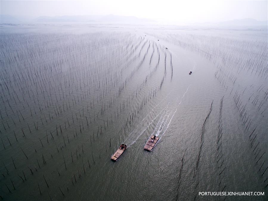 (6)CHINA-FUJIAN-MEDIO AMBIENTE-PAISAJE