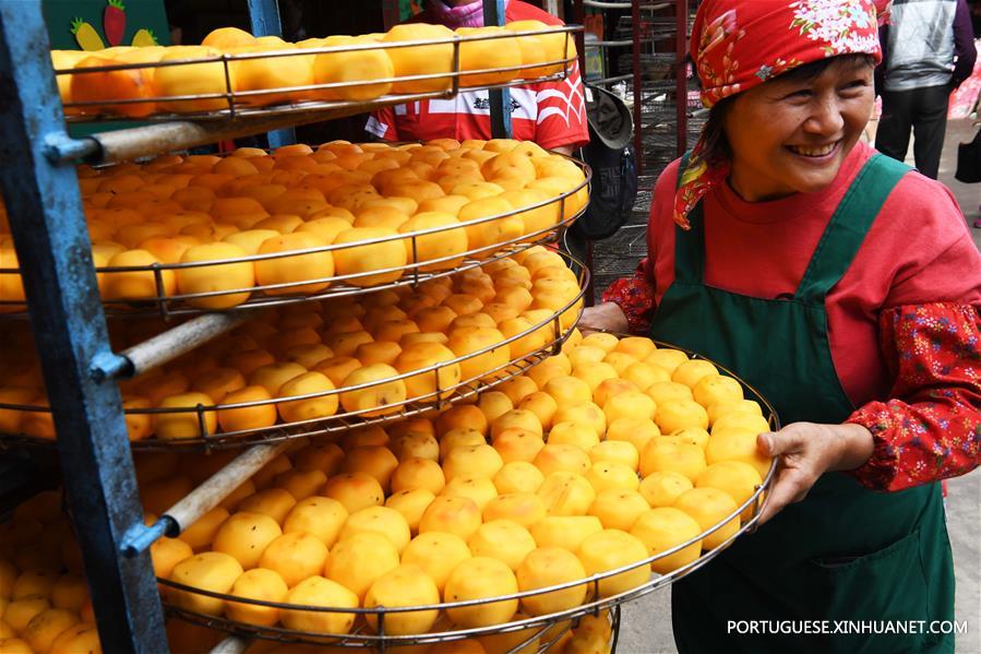 CHINA-HSINCHU-PERSIMMON-HARVEST (CN) 