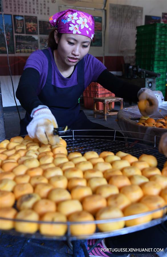 CHINA-HSINCHU-PERSIMMON-HARVEST (CN) 