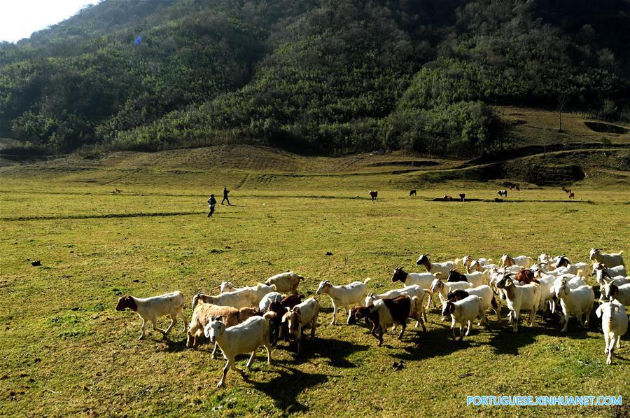 (4)CHINA-SHAANXI-MEDIO AMBIENTE-PAISAJE 