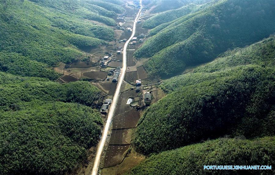 CHINA-SHAANXI-HANZHONG-BAMBOO (CN)