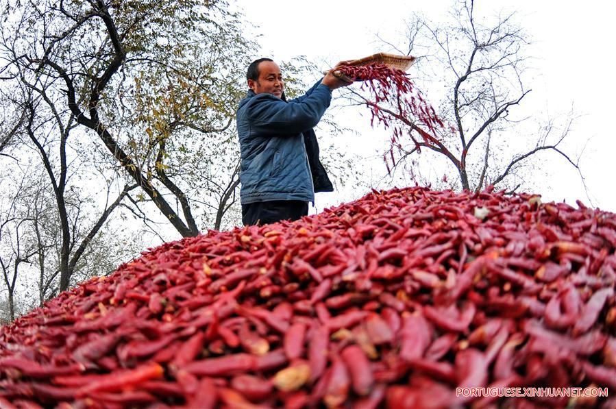 (2)CHINA-HEBEI-INDUSTRIA-AGRICULTURA 