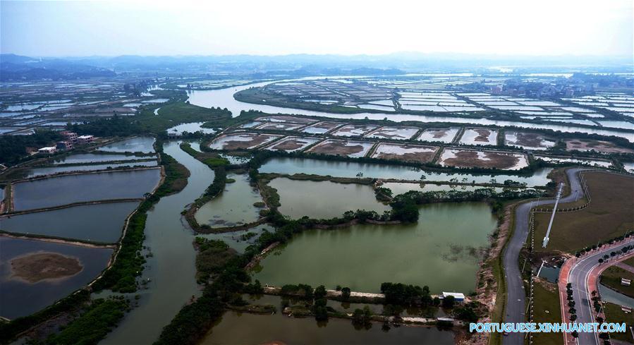 (2)CHINA-GUANGXI-MEDIO AMBIENTE-PAISAJE