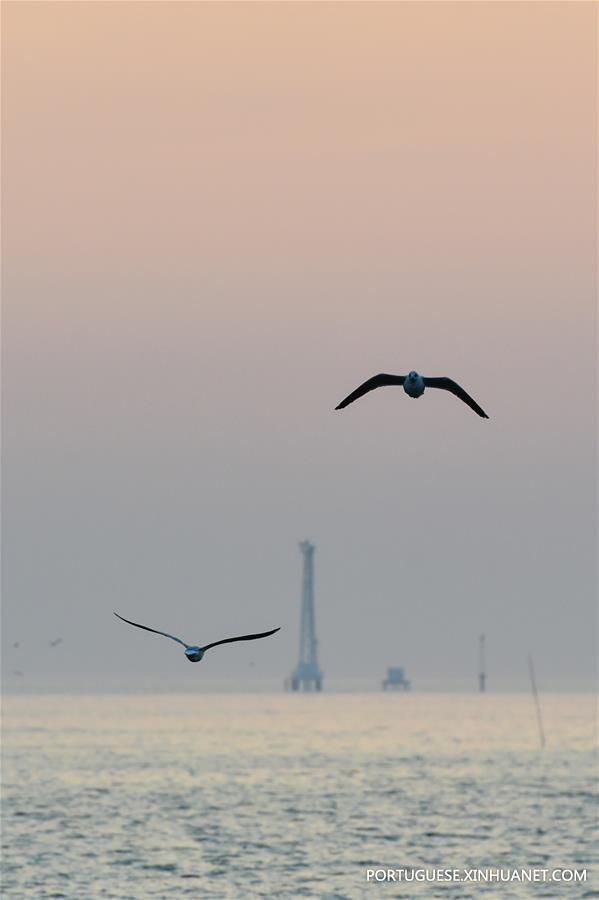 THAILAND-SAMUT PRAKAN-GULF-SEAGULL-MIGRATION