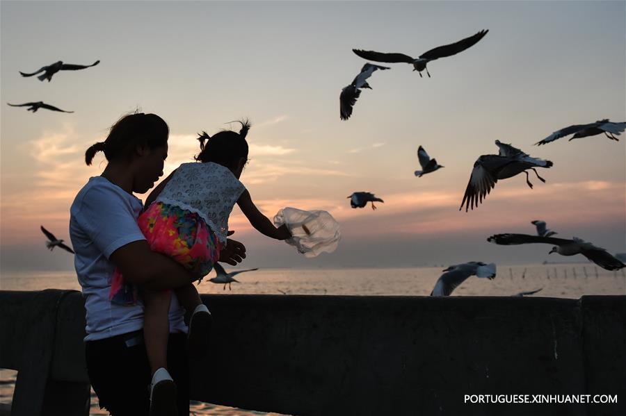 THAILAND-SAMUT PRAKAN-GULF-SEAGULL-MIGRATION