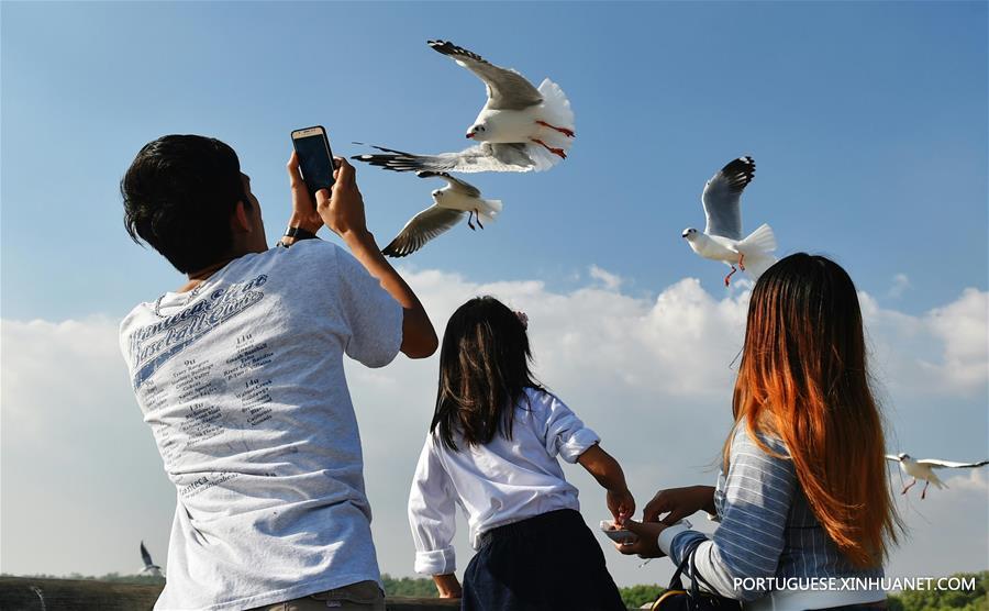 THAILAND-SAMUT PRAKAN-GULF-SEAGULL-MIGRATION