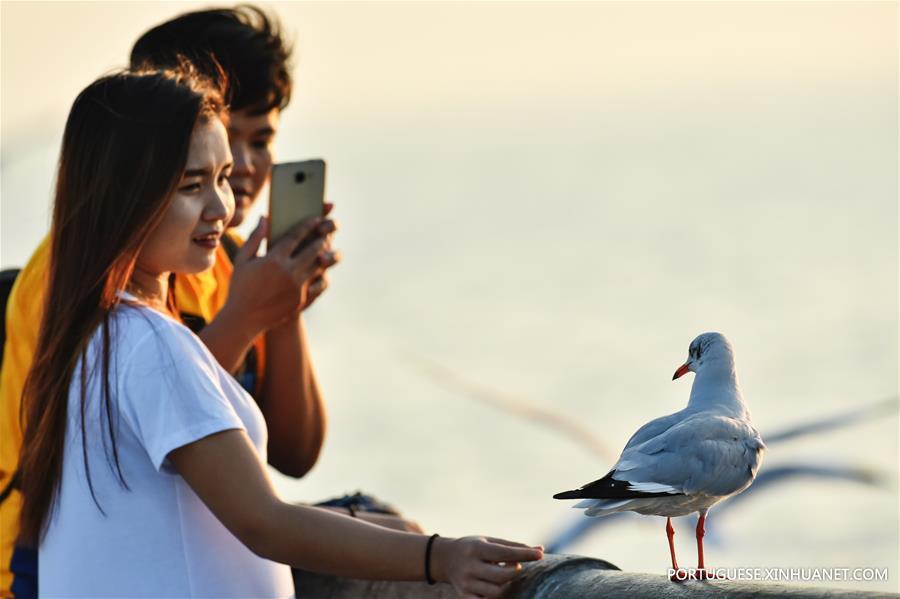 THAILAND-SAMUT PRAKAN-GULF-SEAGULL-MIGRATION