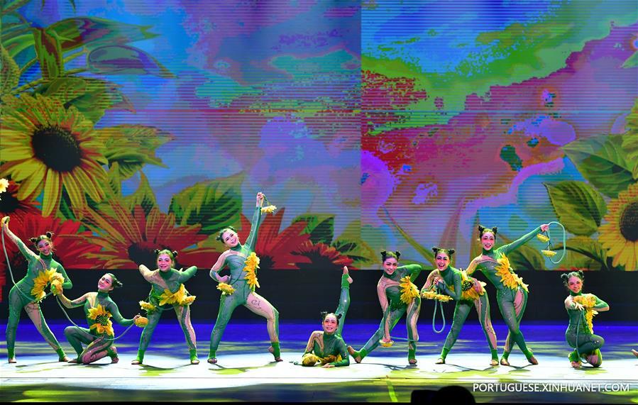 CHINA-HENAN-ACROBATICS FESTIVAL (CN) 