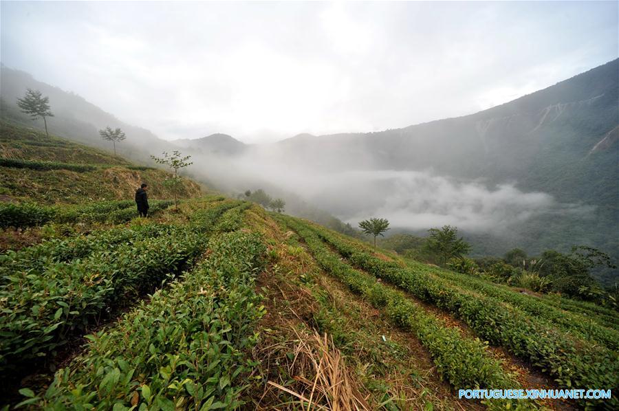 (3)CHINA-MEDOG-MEDIO AMBIENTE-PAISAJE