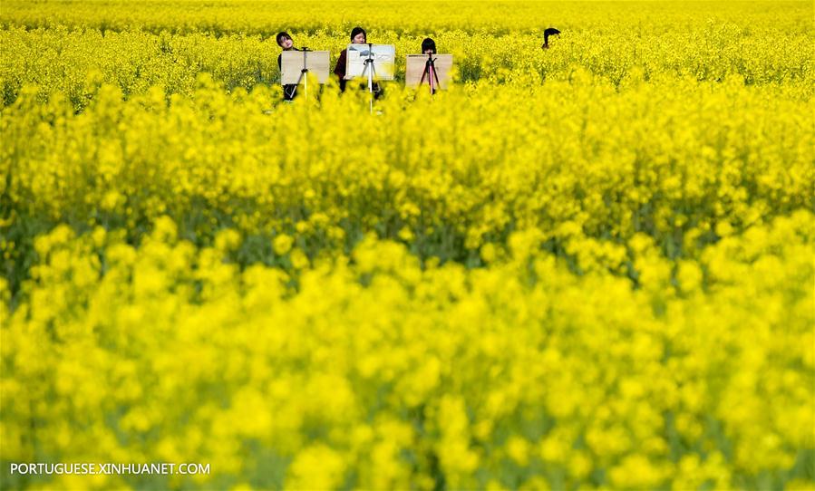 （年终报道）（10）四季美丽中国——春