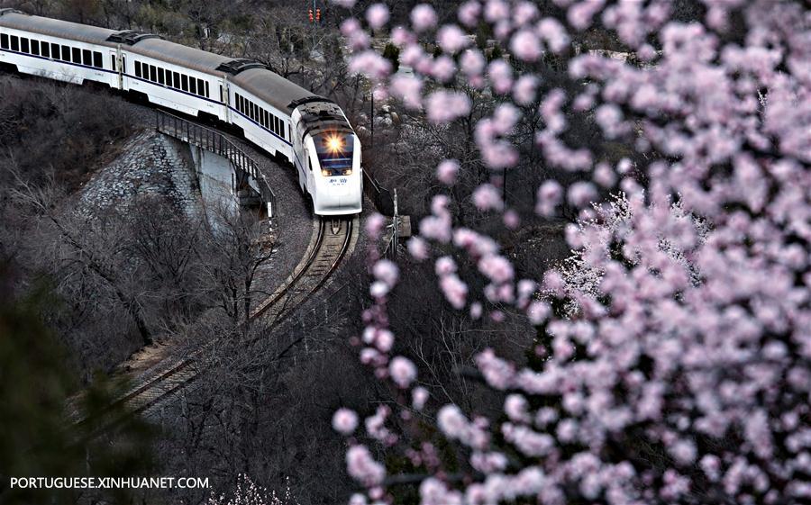 （年终报道）（8）四季美丽中国——春