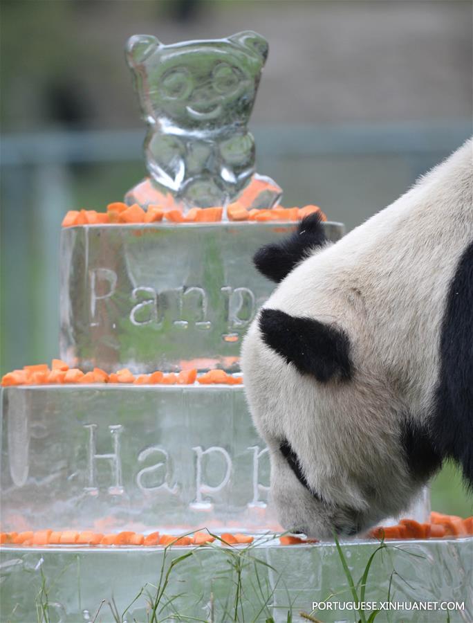 CHINA-SICHUAN-OLDEST PANDA-DEATH (CN)