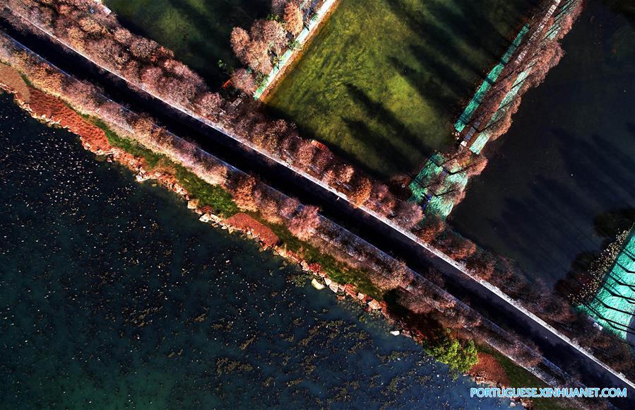 CHINA-HUBEI-WUHAN-DONGHU LAKE-GREENWAY (CN)