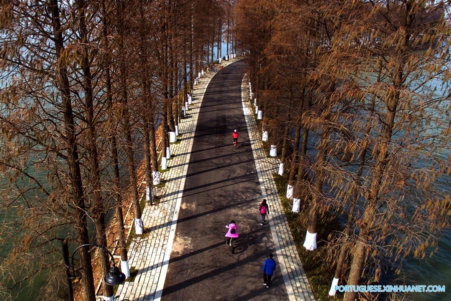 CHINA-HUBEI-WUHAN-DONGHU LAKE-GREENWAY (CN)