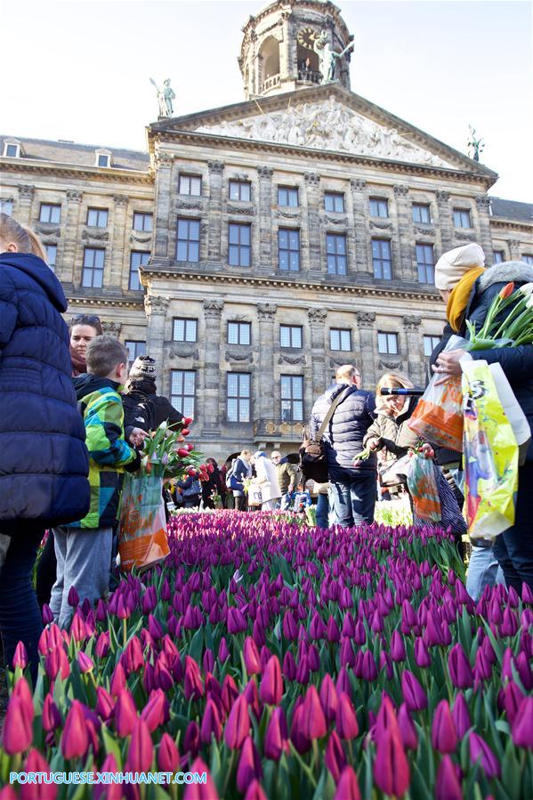 NETHERLANDS-AMSTERDAM-NATIONAL TULIP DAY