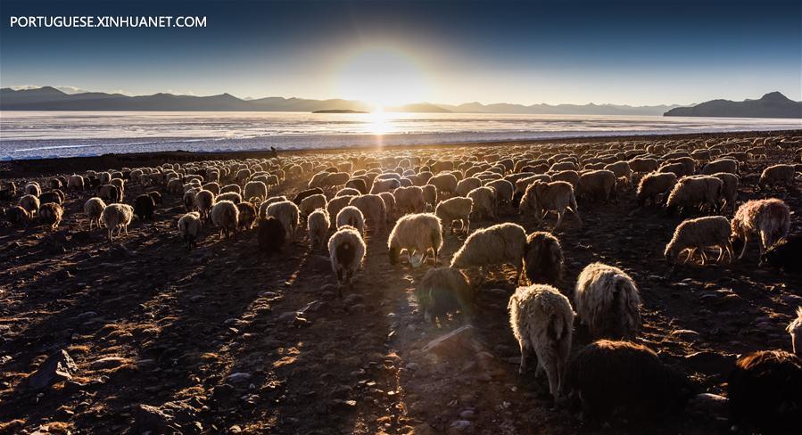 CHINA-TIBET-PLATEAU LAKE-SCENERY (CN)