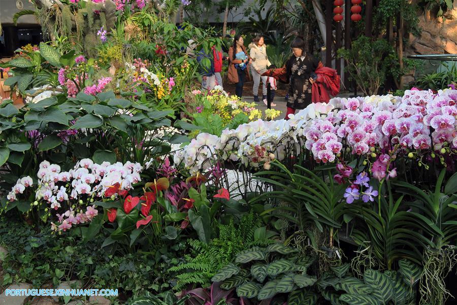 CHINA-BEIJING-ORCHID EXHIBITION (CN)