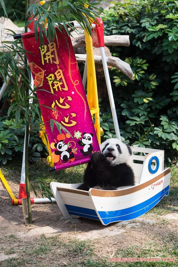 (3)CHINA-MACAO-MEDIO AMBIENTE-FAUNA