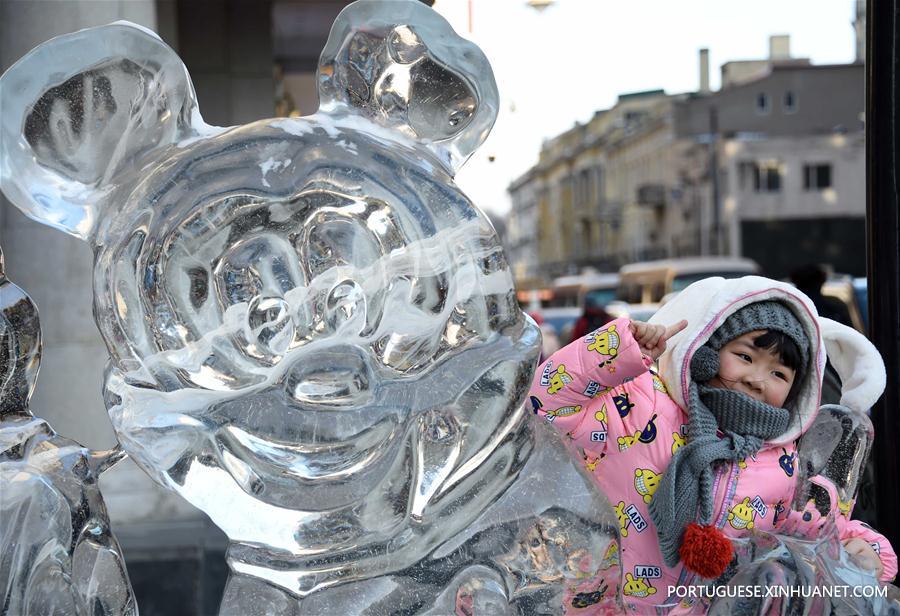 CHINA-HARBIN-ICY WORLD-AMUSEMENT (CN)