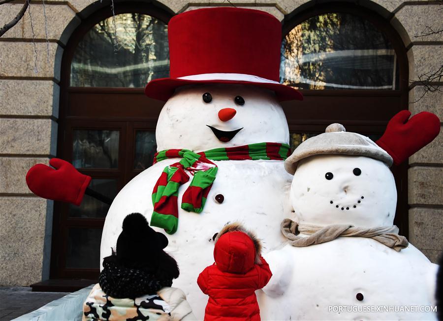 CHINA-HARBIN-ICY WORLD-AMUSEMENT (CN)