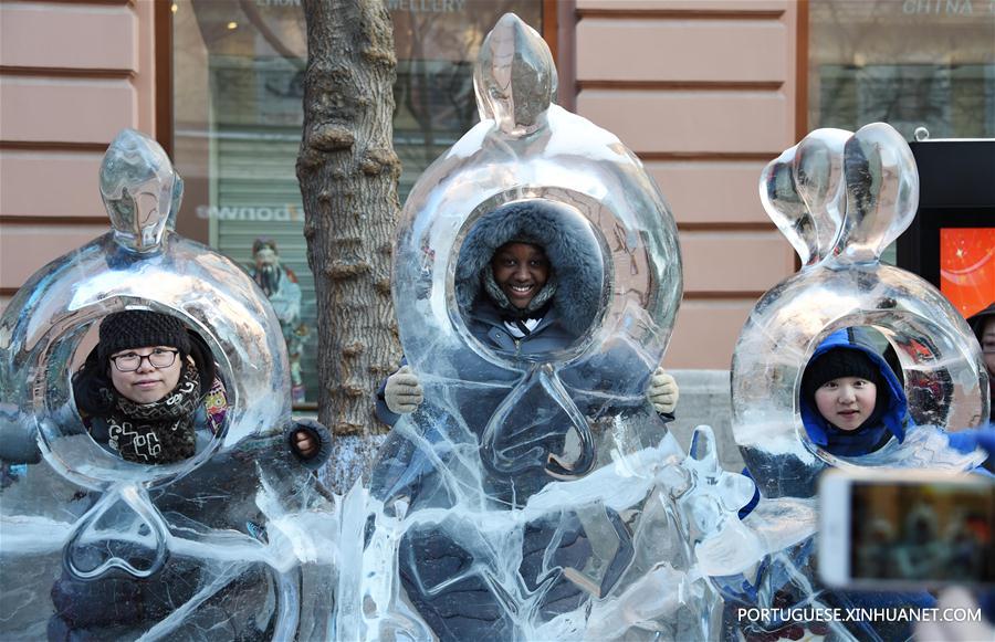 CHINA-HARBIN-ICY WORLD-AMUSEMENT (CN)