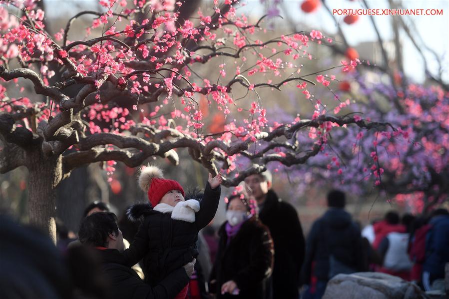 CHINA-BEIJING-TEMPLE FAIR (CN)