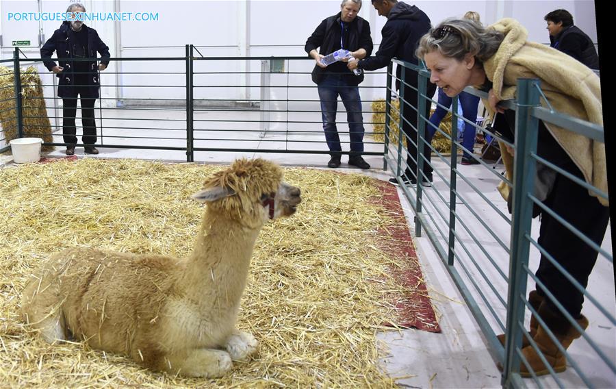 PORTUGAL-LISBON-PET SHOW