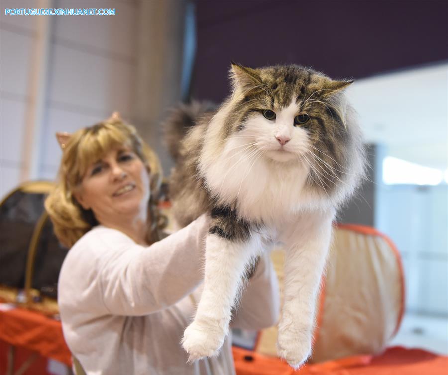 PORTUGAL-LISBON-PET SHOW